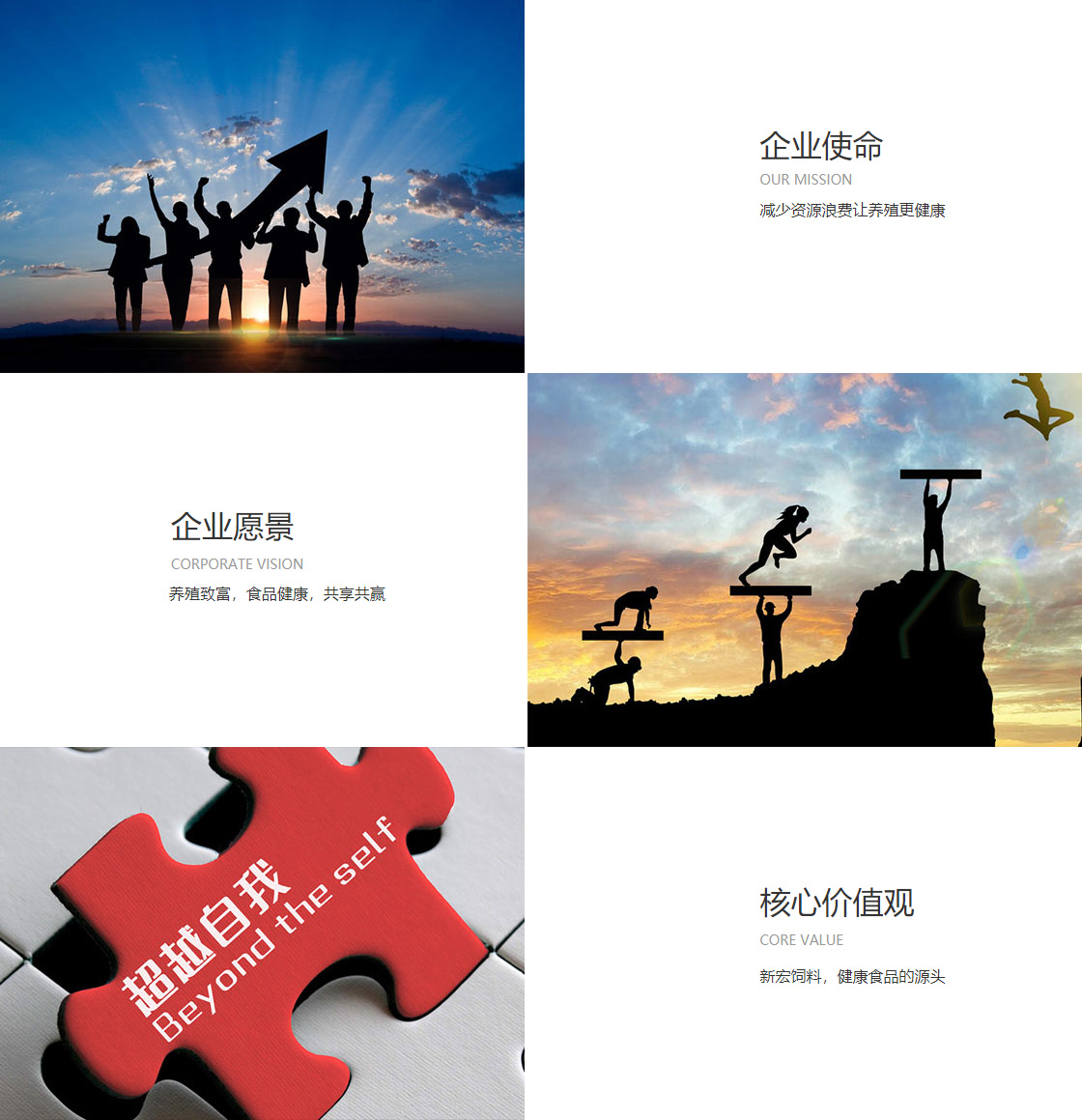JIUYOU.com(圖1)